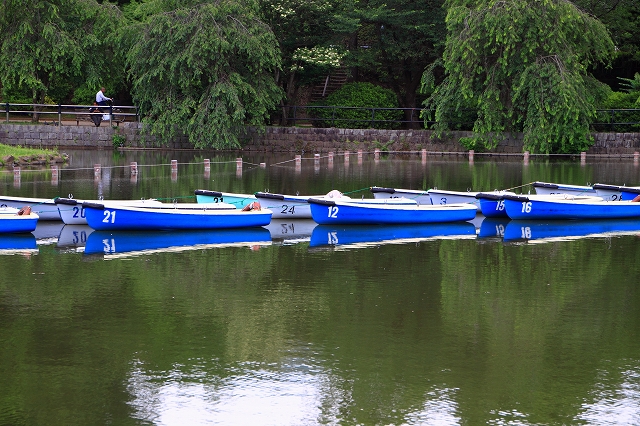 千葉公園内を～ぶらり散策♪_d0152261_710936.jpg