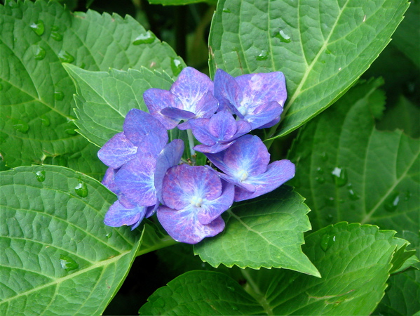 e0125762_2217590.jpg