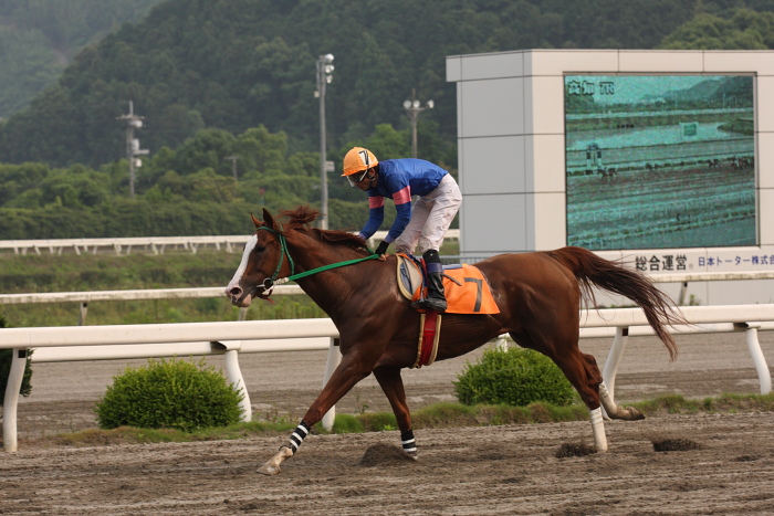 2009年6月13日(土) 高知競馬 7R おらんく特別 C5_a0077663_17475147.jpg
