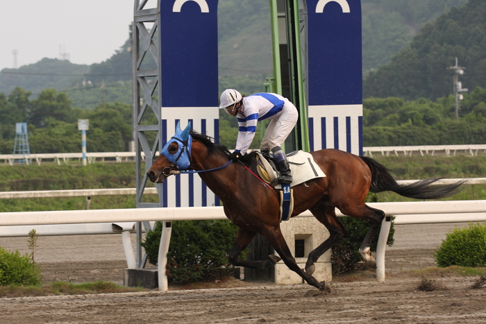 2009年6月13日(土) 高知競馬 7R おらんく特別 C5_a0077663_17475931.jpg