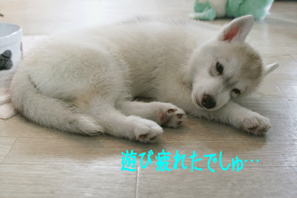 c0161772_23114030.gif