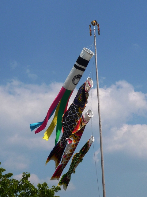 d0042474_1525116.jpg