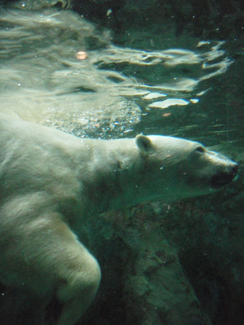 北海道旅行　その２_d0133475_137093.jpg