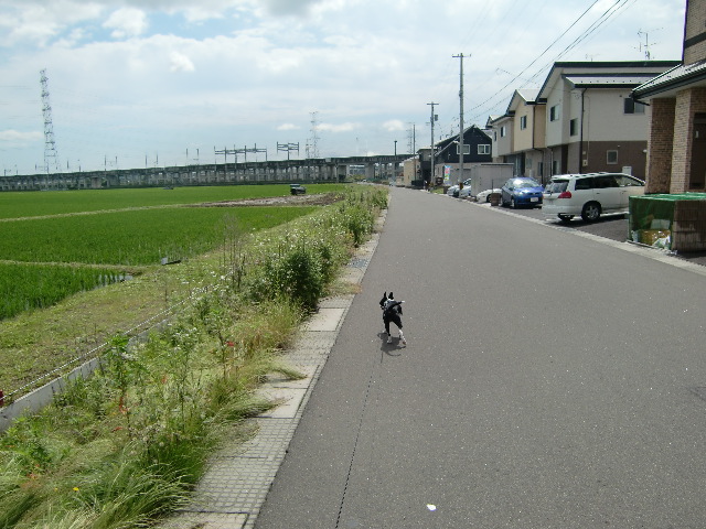 a0129776_10362710.jpg