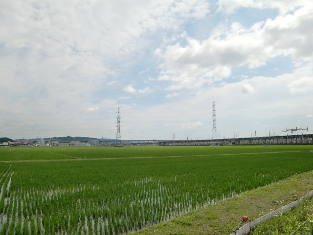 a0129776_1036794.jpg
