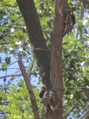 f0007580_18461940.jpg