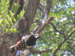 f0007580_18491862.jpg