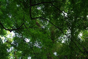 c0182782_19324274.jpg