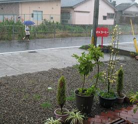 午前中大雨でした。今日も静かな一日でしょうか_e0130185_1140973.jpg