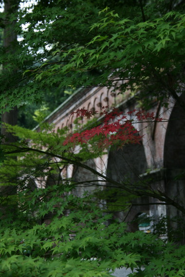 b0143686_2243640.jpg