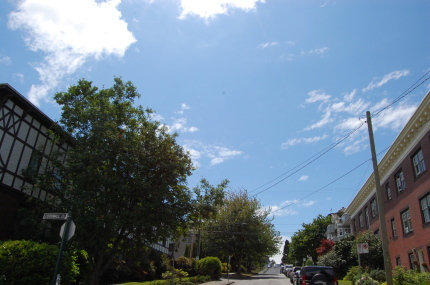 d0129786_15492759.jpg