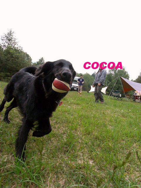 a0093592_0322034.jpg