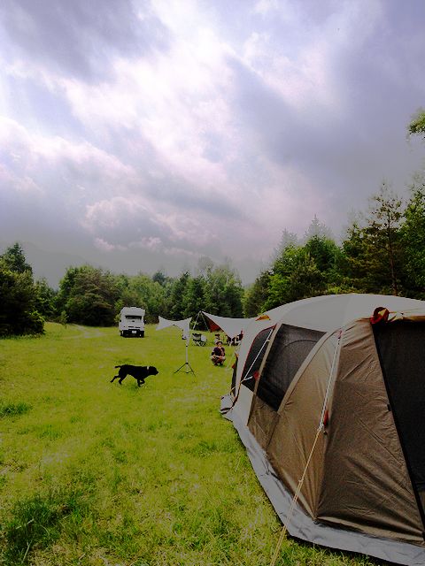 a0093592_12364.jpg