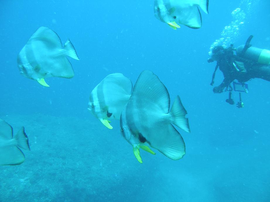 c0118393_17515126.jpg