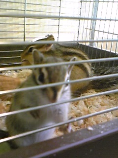 c0086895_1993863.jpg