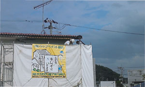 f0118796_20231359.jpg