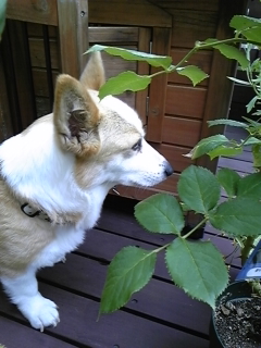 f0017897_21292019.jpg