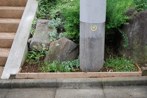北東花壇 改造_c0124100_11363189.jpg