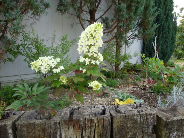 e0175905_2384634.jpg
