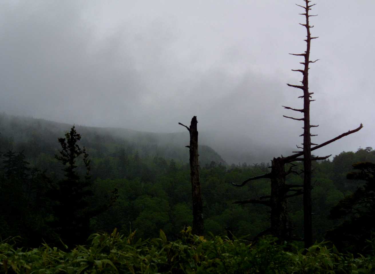 d0140806_1110689.jpg