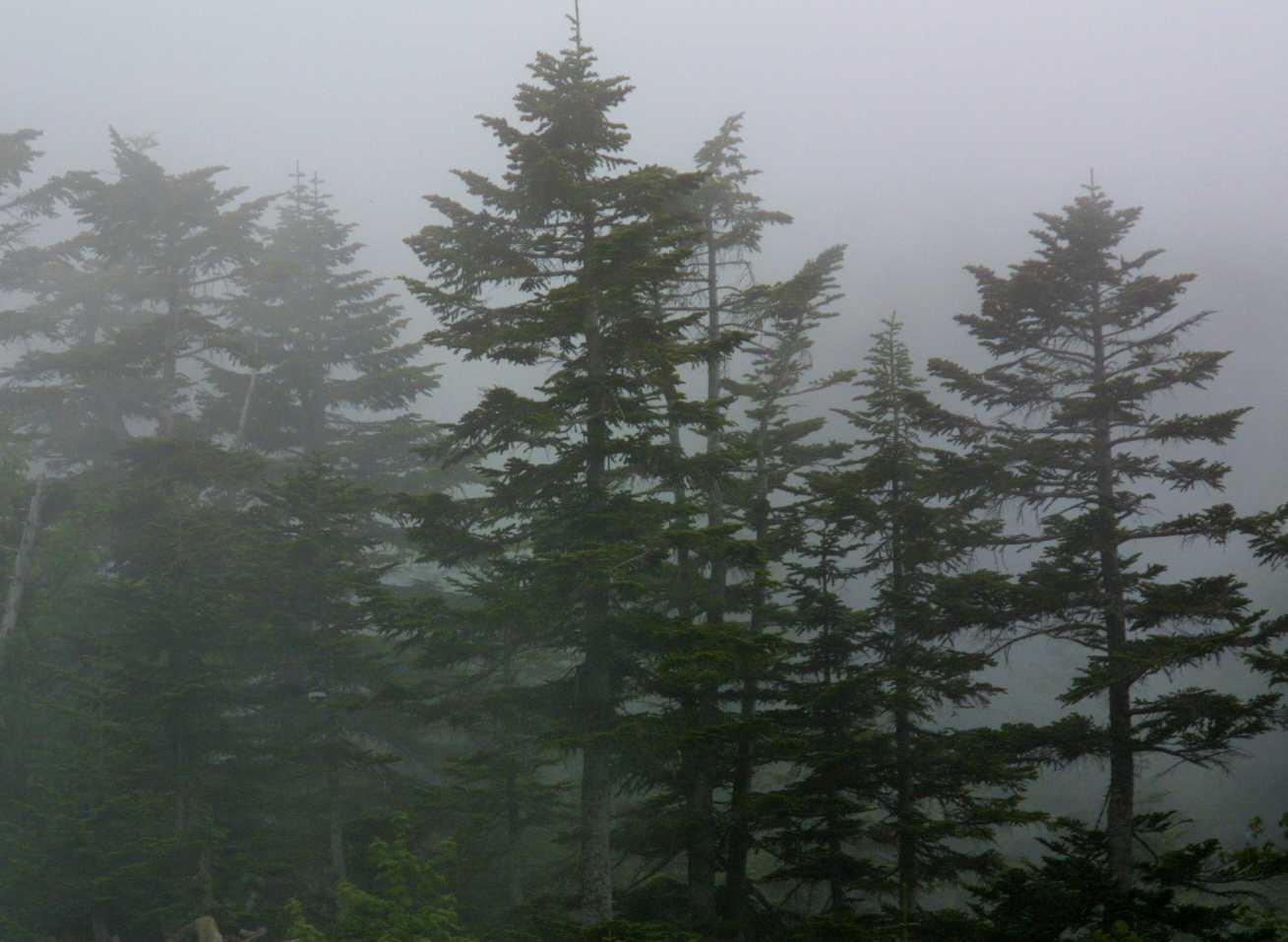 d0140806_115812.jpg