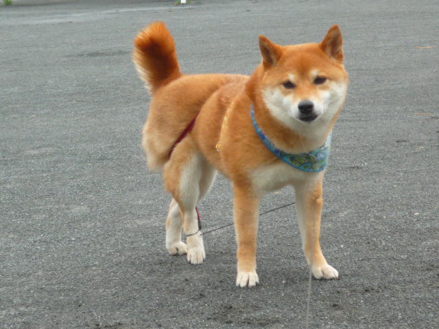 e0131506_0243736.jpg
