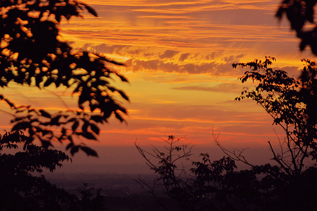 b0010915_2157924.jpg