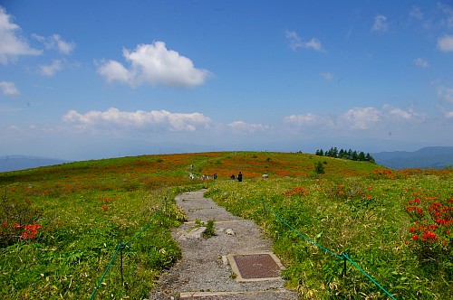 d0102327_13113349.jpg