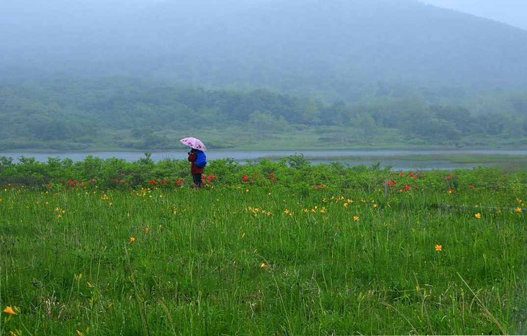 福島県喜多方市・耶麻郡北塩原村　雄国沼_d0106628_151374.jpg