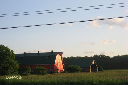 c0024729_2394468.jpg