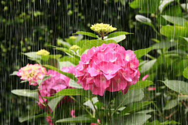 f0050132_9425032.gif