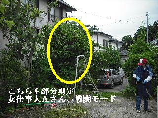 3時間でアクティ君は満載_f0031037_216393.jpg