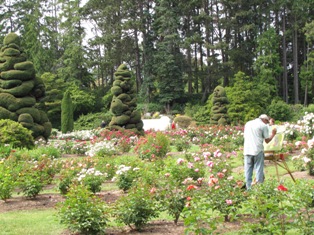 Rose Garden （バラ園）_b0140738_1435042.jpg