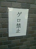 b0018242_65579.jpg
