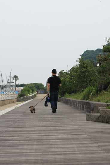 ちょっと江の島散策に・・・〜後編〜_f0166645_1824483.jpg