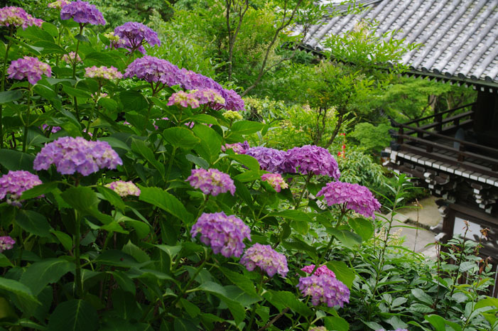 f0152550_21221553.jpg