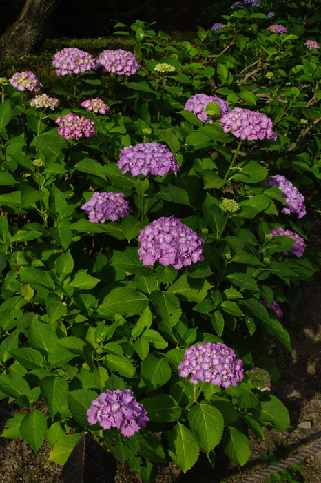 f0152550_2127050.jpg