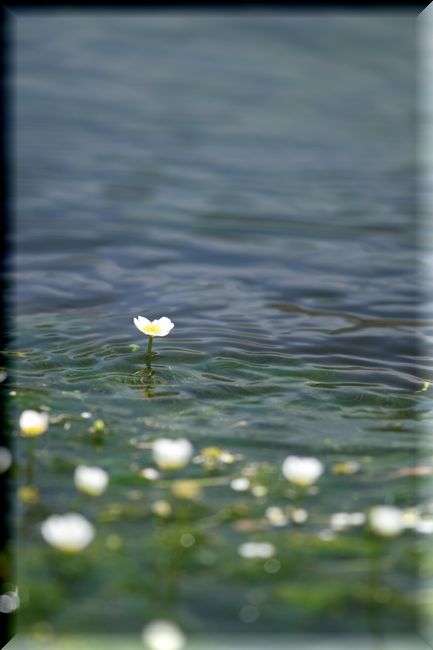 夏日！川で撮影_f0153450_2042521.jpg