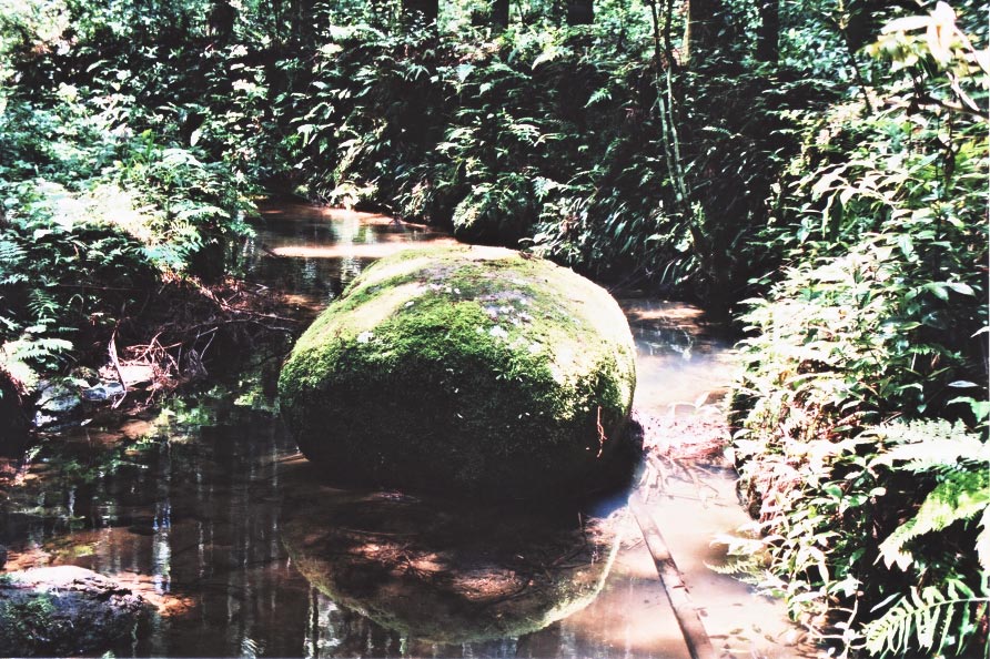 e0156251_0132222.jpg