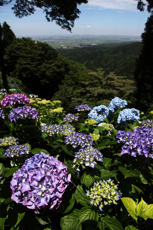 贅沢な風景。_b0082453_1262537.jpg