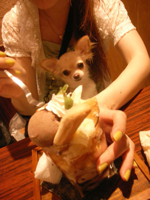 10歩に1犬>>>縁縁_f0196753_2222094.jpg