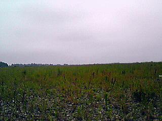 f0084561_1726175.jpg