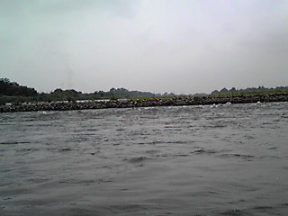 f0084561_1727188.jpg