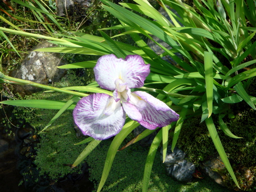 e0125762_0125434.jpg