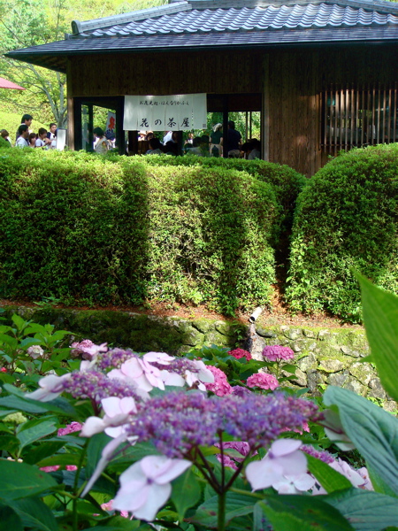 e0125762_0201667.jpg