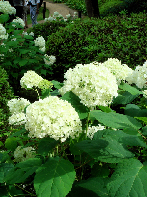 e0125762_093349.jpg