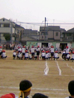 f0176570_8173935.jpg