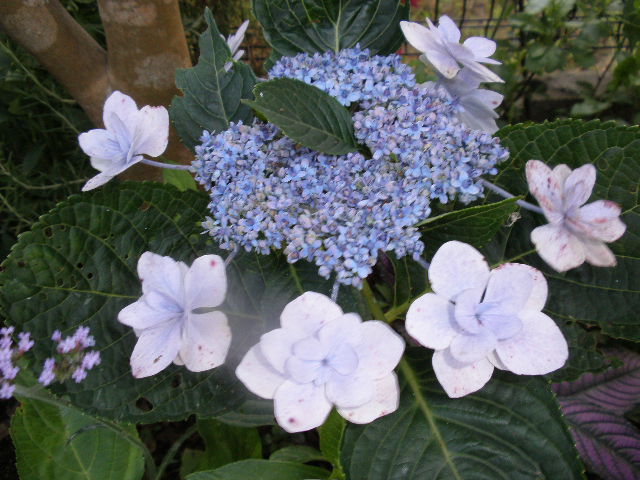 b0157276_10112593.jpg