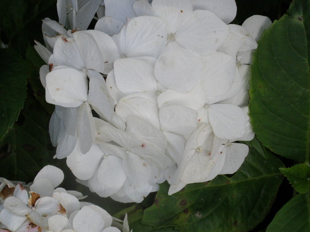 b0157276_10124150.jpg
