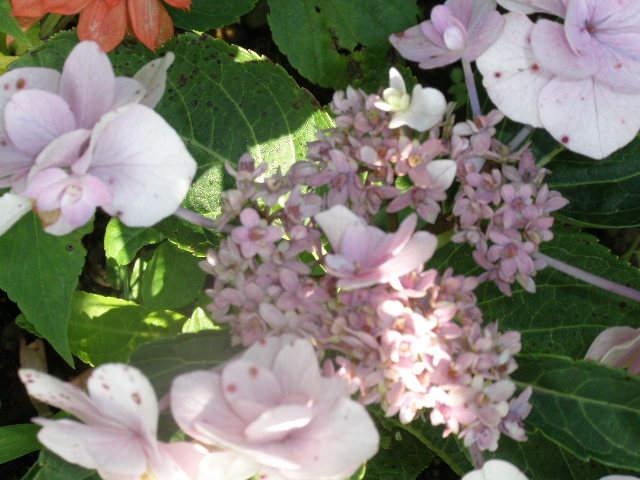 b0157276_10132994.jpg